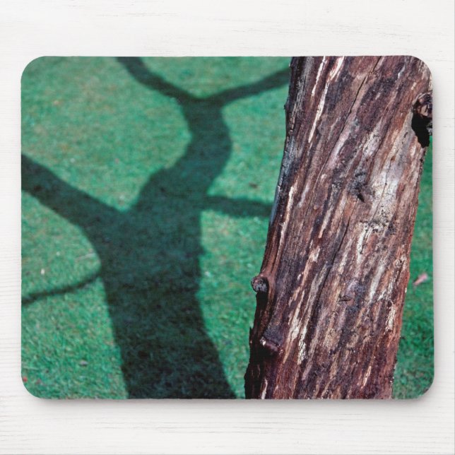Alfombrilla De Ratón Árbol muerto (Frente)