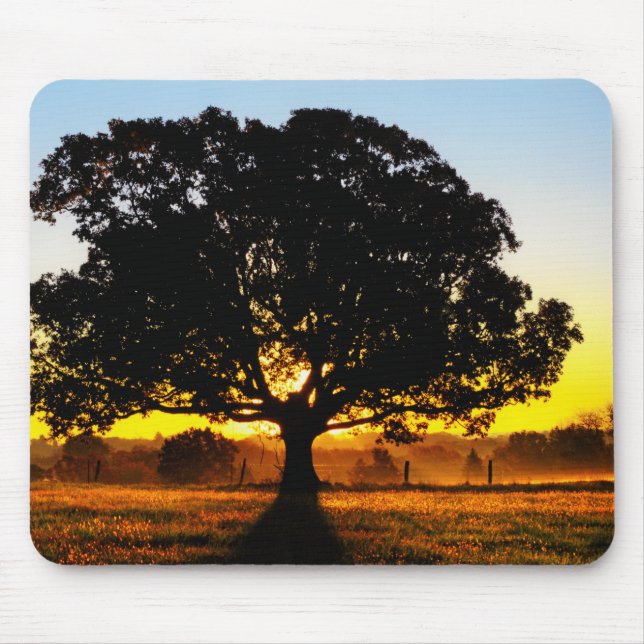 Alfombrilla De Ratón Árbol por la mañana (Frente)