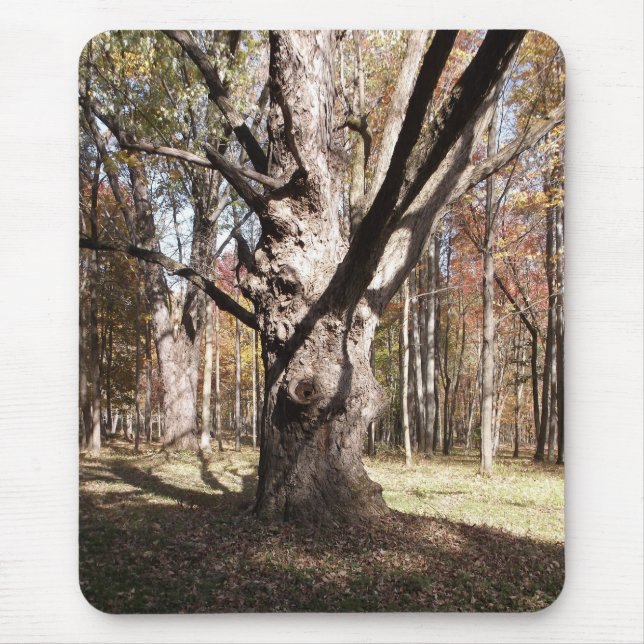 Alfombrilla De Ratón Árbol raro (Frente)