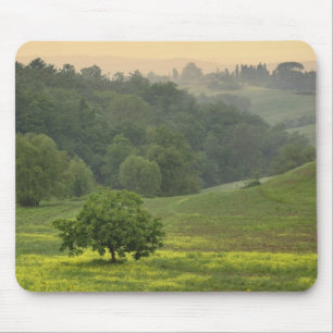 Alfombrilla De Ratón Árbol solitario en campo agrícola, Toscana,