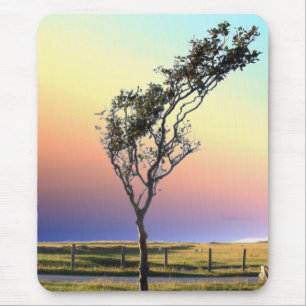 ALFOMBRILLA DE RATÓN ÁRBOL ÚNICO  