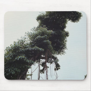Alfombrilla De Ratón Árbol y vides elevados en selva