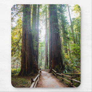 Alfombrilla De Ratón Árboles altos
