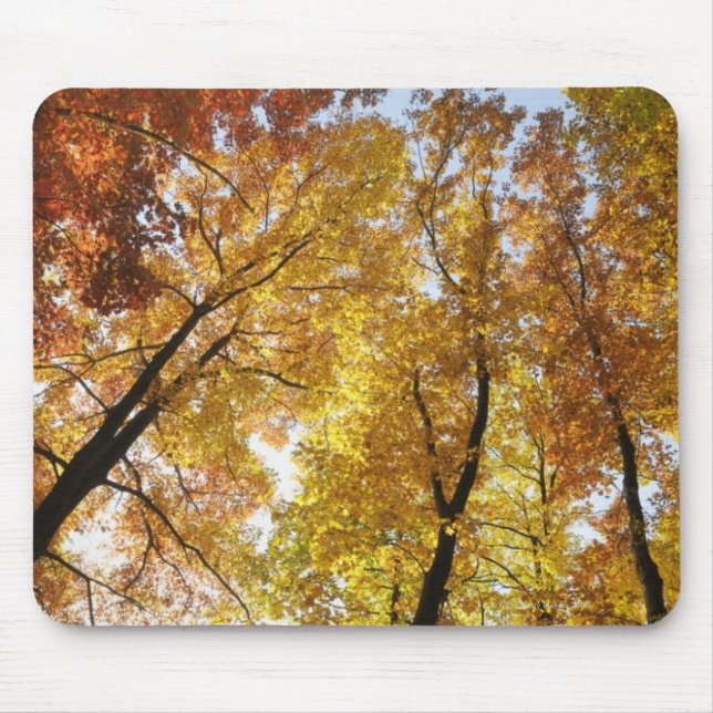 Alfombrilla De Ratón Árboles coloridos (Frente)