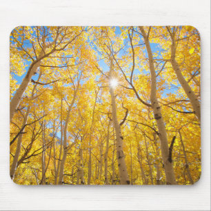 Alfombrilla De Ratón Árboles de Aspen   Sierra Nevada, CA