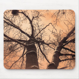 Alfombrilla De Ratón Árboles de invierno al revés