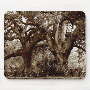 Alfombrilla De Ratón Árboles de New Orleans Live Oak