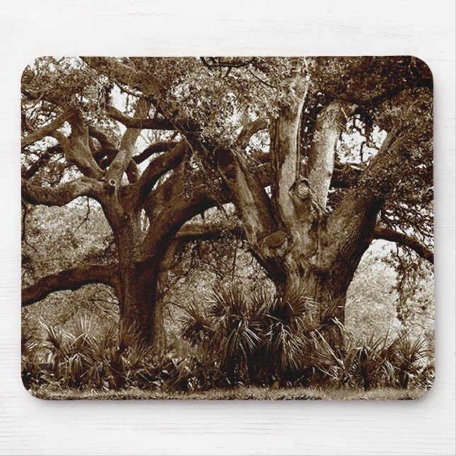 Alfombrilla De Ratón Árboles de New Orleans Live Oak (Frente)