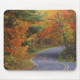 Alfombrilla De Ratón Árboles de otoño alinean la carretera en Itasca St