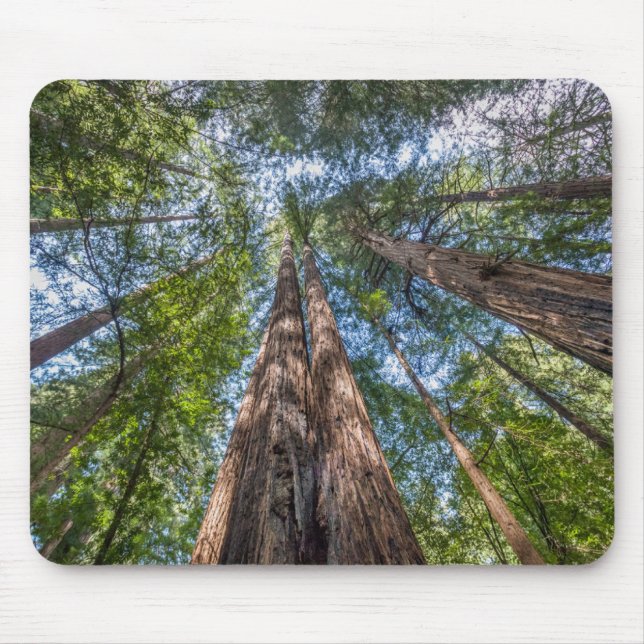 Alfombrilla De Ratón Árboles de secuoya | Condado de Marin, California (Frente)