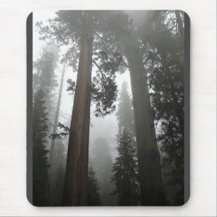 Alfombrilla De Ratón Árboles de secuoyas gigantes en niebla, CA