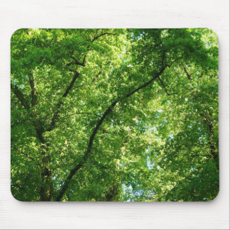 Alfombrilla De Ratón Árboles de verano II