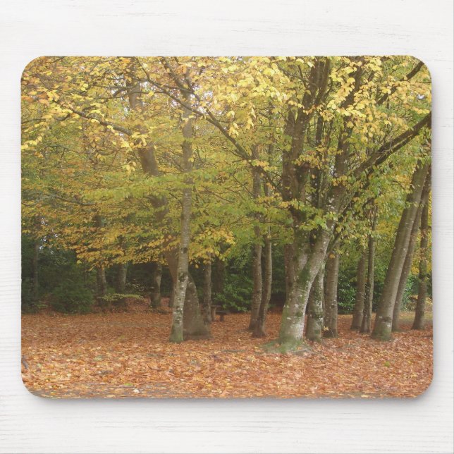 Alfombrilla De Ratón Árboles del otoño (Frente)