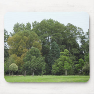 Alfombrilla De Ratón Árboles en Bute Park, Cardiff