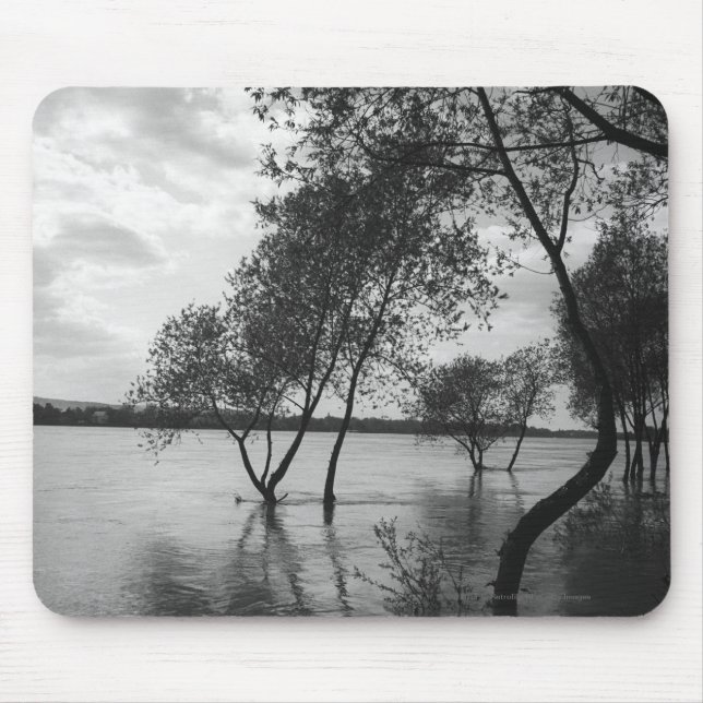 Alfombrilla De Ratón Árboles en el lago (Frente)