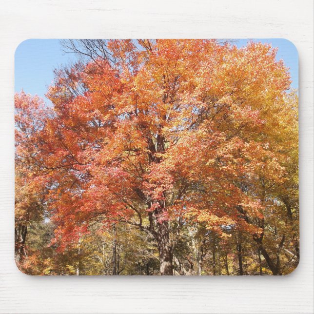 Alfombrilla De Ratón Árboles naranjas (Frente)