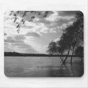 Alfombrilla De Ratón Árboles por el lago B&W