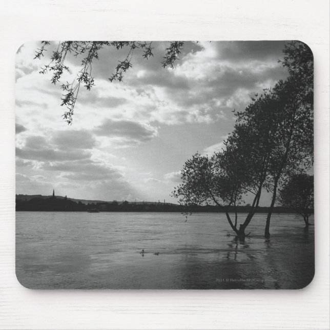 Alfombrilla De Ratón Árboles por el lago B&W (Frente)