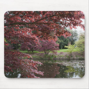 Alfombrilla De Ratón Arces japoneses en el Jardín Botánico Van Dusen