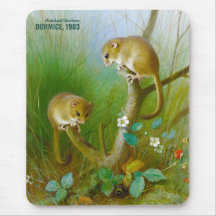Archibald Thorburn Ratones Cute (Dormice 1903) CC0
