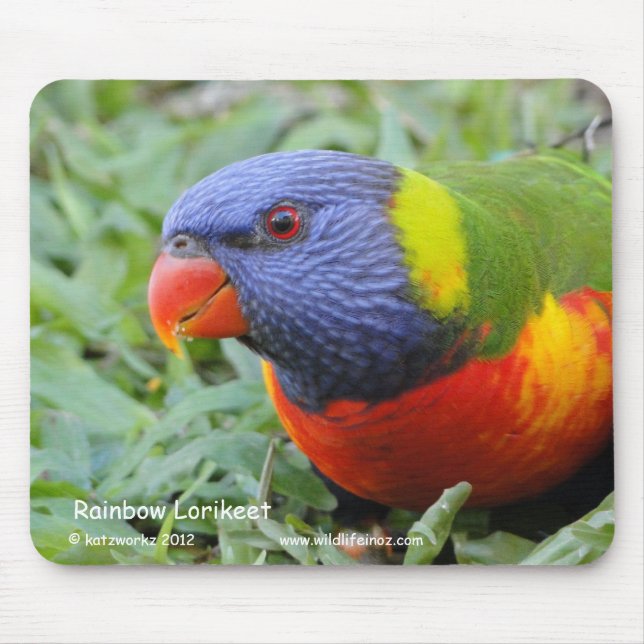 Alfombrilla De Ratón Arco iris Lorikeet (Frente)