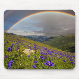 Alfombrilla De Ratón Arco iris sobre un prado floreciente
