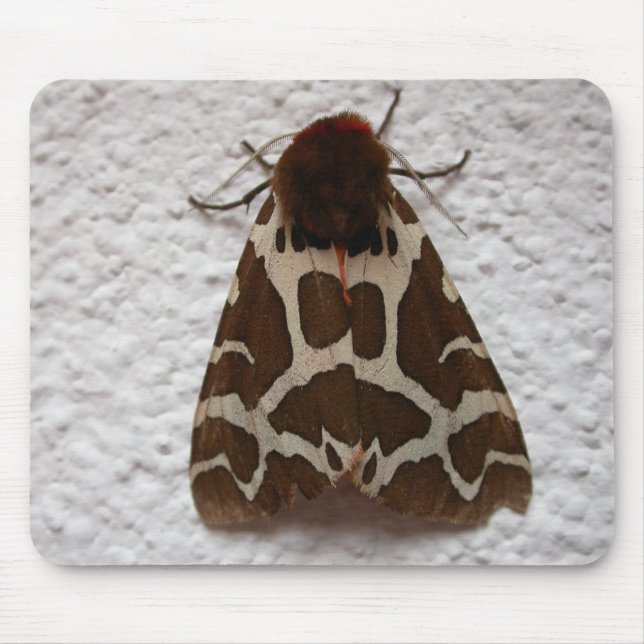 Alfombrilla De Ratón Arctia caja (Frente)