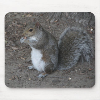 Alfombrilla De Ratón Ardilla