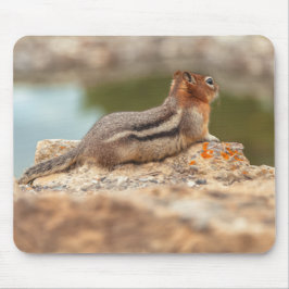 Alfombrilla De Ratón Ardilla