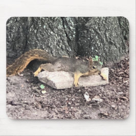 Alfombrilla De Ratón Ardilla