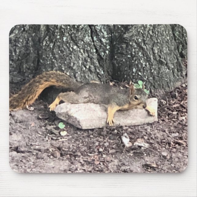 Alfombrilla De Ratón Ardilla (Frente)