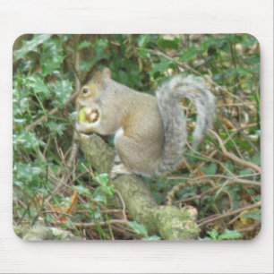 Alfombrilla De Ratón Ardilla con Acorn Mousepad