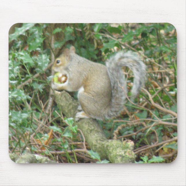 Alfombrilla De Ratón Ardilla con Acorn Mousepad (Frente)