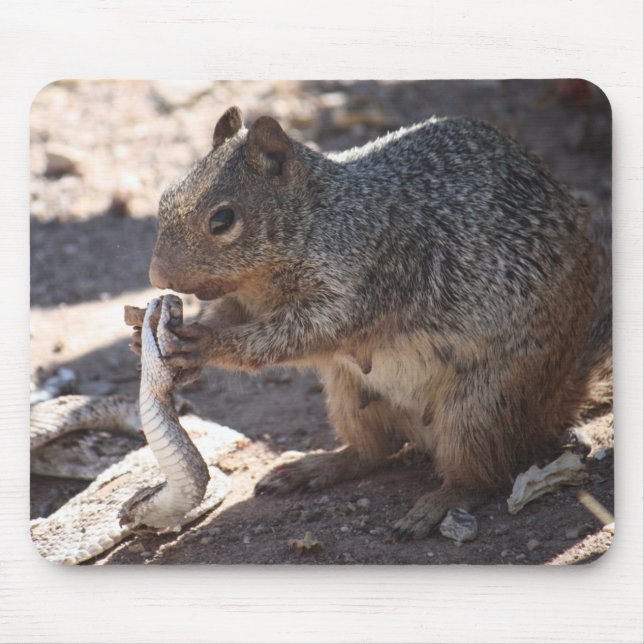 Alfombrilla De Ratón Ardilla contra la serpiente de cascabel Mousepad (Frente)