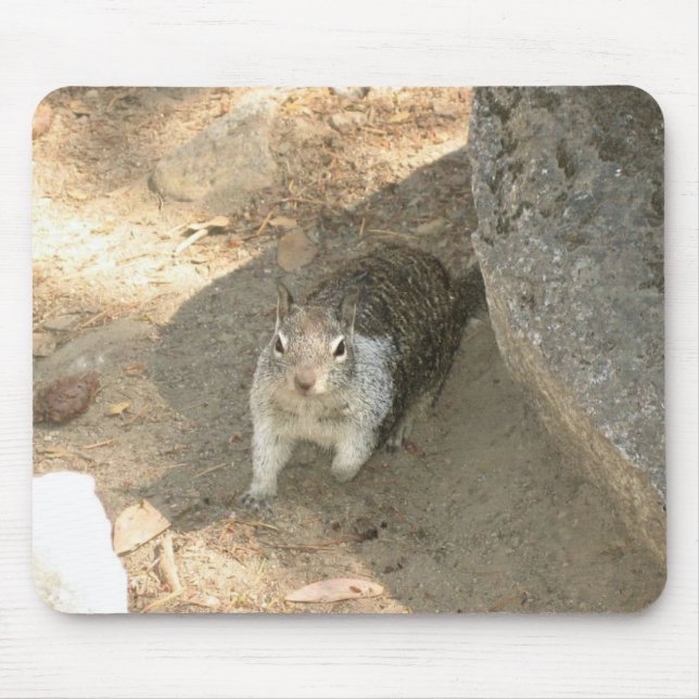 Alfombrilla De Ratón Ardilla Cuta en Yosemite, CA (Frente)