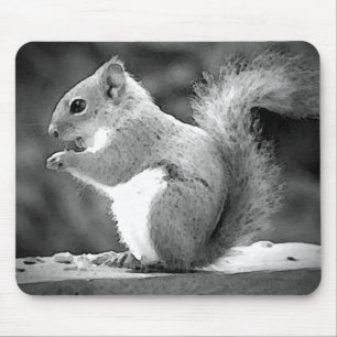Alfombrilla De Ratón Ardilla de comer