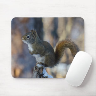 Alfombrilla De Ratón ardilla de invierno, animal marrón, fotografía can
