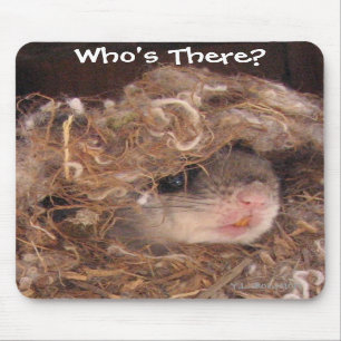Alfombrilla De Ratón Ardilla de vuelo Mousepad
