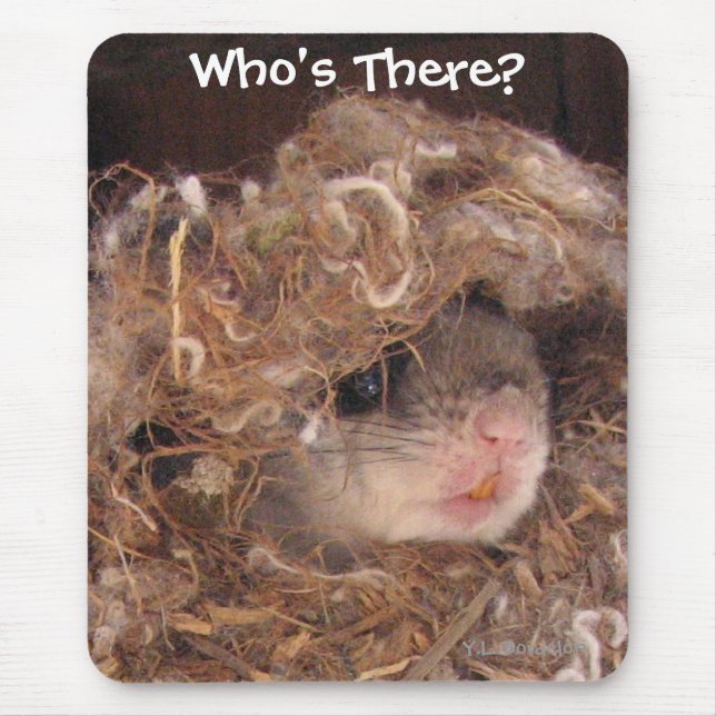 Alfombrilla De Ratón Ardilla de vuelo Mousepad (Frente)