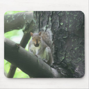 Alfombrilla De Ratón Ardilla En El Arte Animal De Árbol