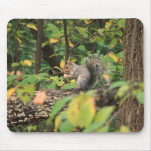 Alfombrilla De Ratón Ardilla en el otoño Mousepad