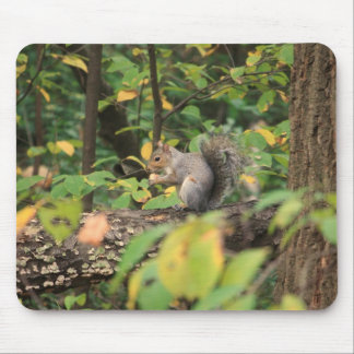 Alfombrilla De Ratón Ardilla en el otoño Mousepad