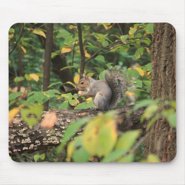 Alfombrilla De Ratón Ardilla en el otoño Mousepad (Frente)