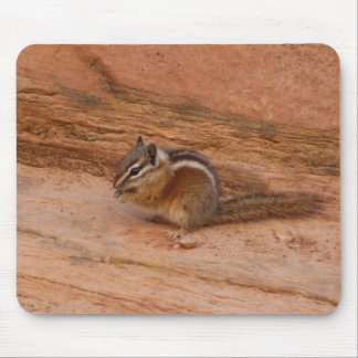 Alfombrilla De Ratón Ardilla listada de Zion en Red Rocks