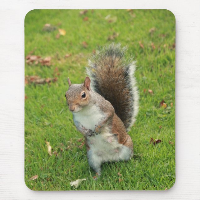 Alfombrilla De Ratón Ardilla Mousepad (Frente)