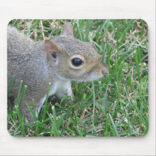Alfombrilla De Ratón Ardilla Mousepad, ofreciendo el "Clicker "