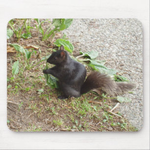 Alfombrilla De Ratón Ardilla negra