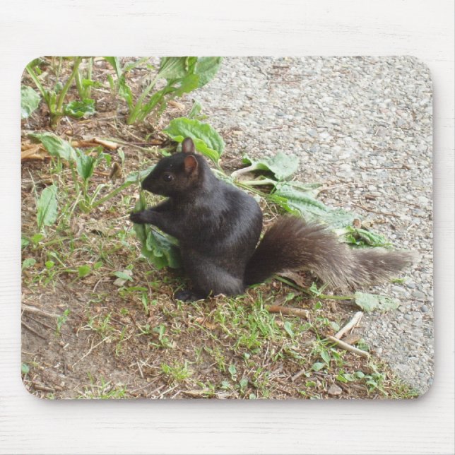Alfombrilla De Ratón Ardilla negra (Frente)