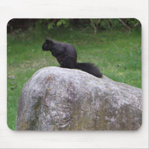 Alfombrilla De Ratón Ardilla negra aguda en ardillas naturales de roca