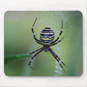 Alfombrilla De Ratón Argiope bruennichi